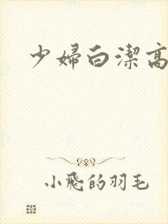 少妇白洁高义小