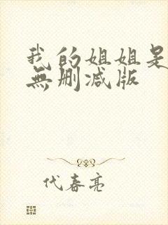 我的姐姐是法官无删减版