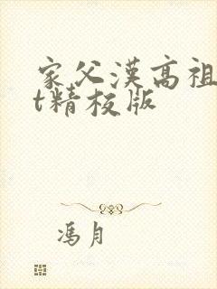 家父汉高祖txt精校版