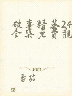 破事精英24集全集免费观看