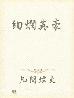 绚烂英豪封面