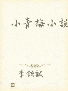 小青梅小说封面