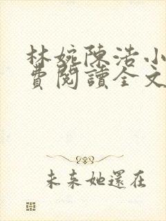 林婉陈浩小说免费阅读全文最新章节封面