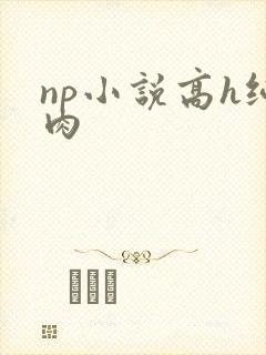 np小说高h纯肉