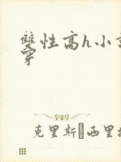 双性高h小说快穿