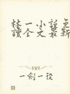 林一小说免费阅读全文最新章节封面