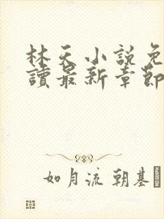 林天小说免费阅读最新章节封面