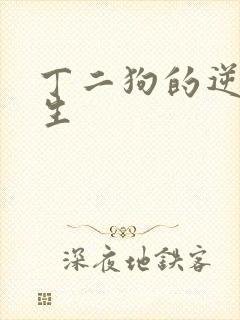 丁二狗的逆袭人生封面