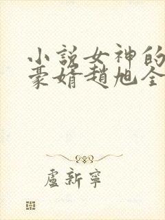 小说女神的上门豪婿赵旭全文阅读封面