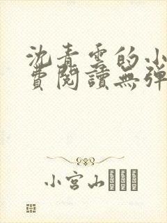 沈青云的小说免费阅读无弹窗封面