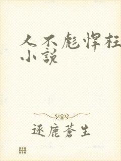 人不彪悍枉少年小说
