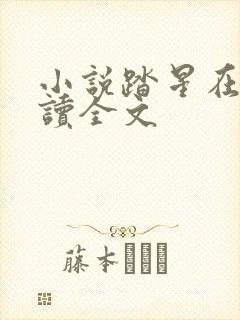 小说踏星在线阅读全文