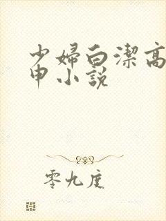 少妇白洁高义王申小说封面