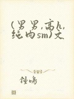 (男男,高h,纯肉sm)文