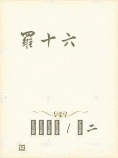 罗十六封面