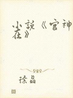 小说《官神何常在》