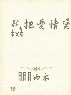 我把爱情煲成汤txt