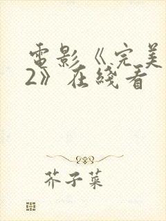 电影《完美搭档2》在线看