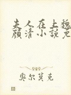 夫人在上魏舒寒颜清小说免费阅读