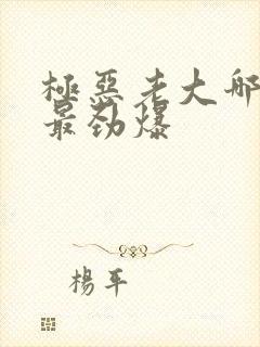 极恶老大哪一集最劲爆