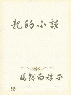 龙的小说