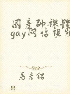 国产帅裸体男模gay网站视频封面