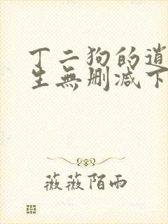 丁二狗的逍遥人生无删减下载