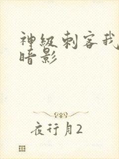 神级刺客我即为暗影