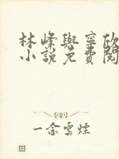 林峰与宁欣正版小说免费阅读最新