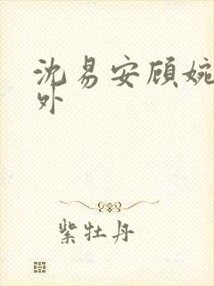 沈易安顾婉的番外封面