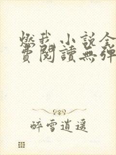 燃我小说全文免费阅读无弹窗