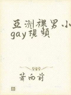 亚洲裸男小鲜肉gay视频