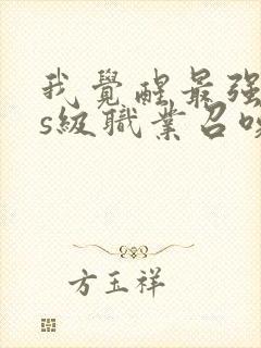 我觉醒最强sss级职业召唤一口气看完封面