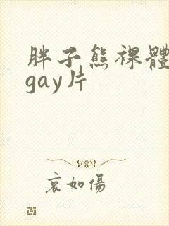 胖子熊裸体裸体gay片封面