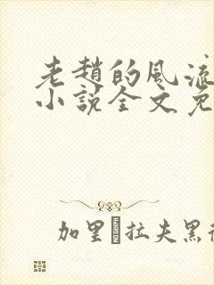 老赵的风流人生小说全文免费阅读