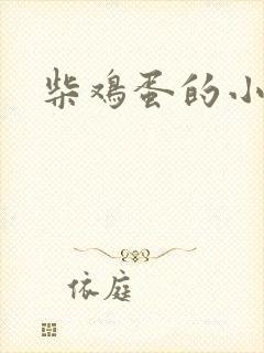 柴鸡蛋的小说