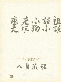 恋老小说祖孙情大坑狗小说免费阅读封面