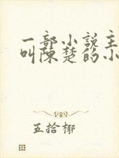 一部小说主人公叫陈楚的小说