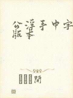公浮手中字最新版本封面