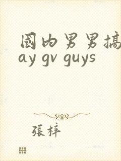 国内男男搞基gay gv guys