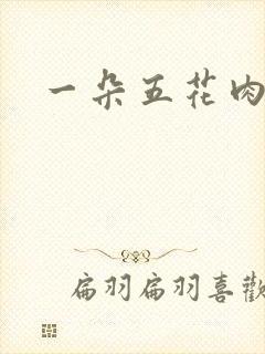 一朵五花肉