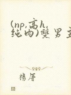 (np,高h,纯肉)双男主