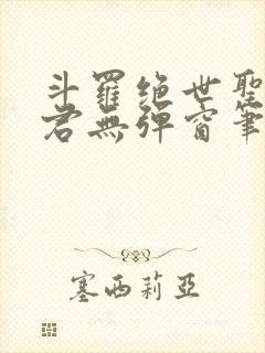 斗罗绝世圣邪帝君无弹窗笔趣阁