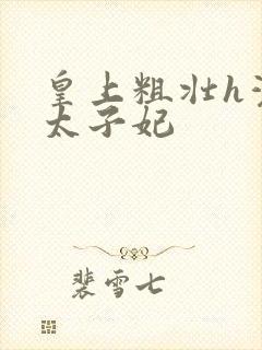 皇上粗壮h灌满太子妃封面