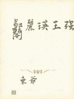 郑丽瑛王强笔趣阁封面