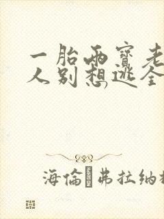 一胎两宝老婆大人别想逃全文免费阅读