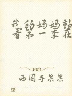 我的妈妈动漫观看第一季在线观看