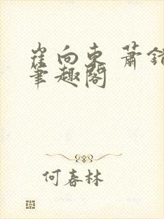 崔向东 萧错 笔趣阁