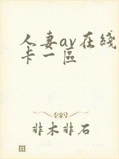 人妻av在线不卡一区