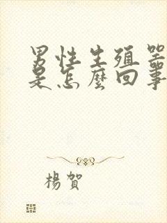 男性生殖器官短是怎么回事